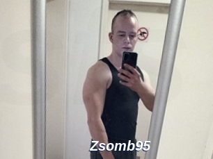 Zsomb95